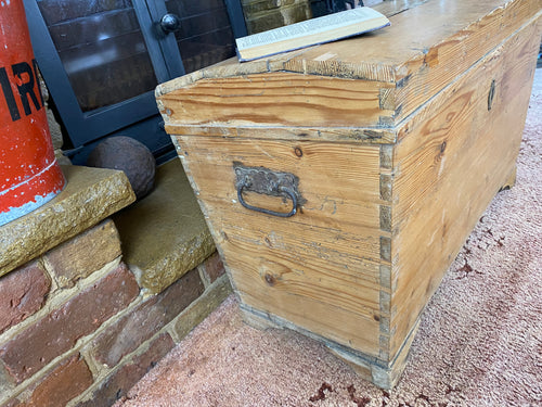 Pine Trunk (69x39x47cm LWH)
