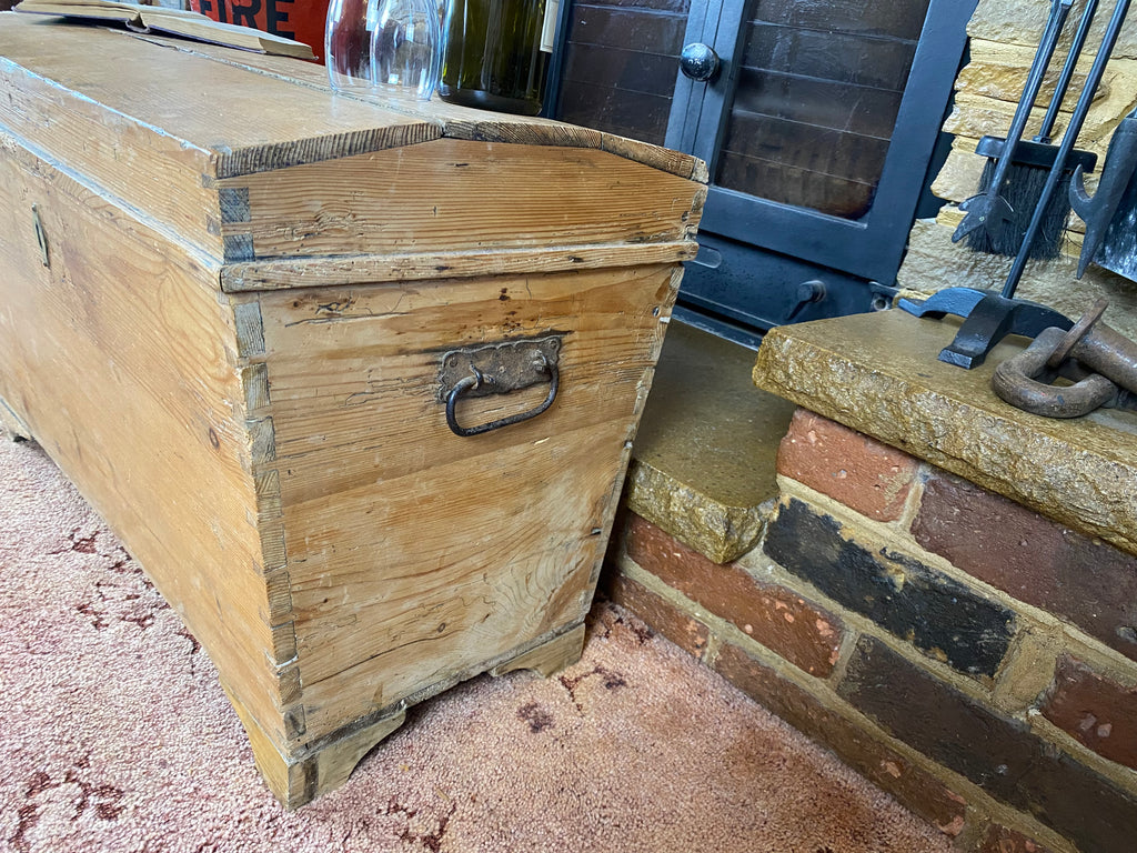 Pine Trunk (69x39x47cm LWH)
