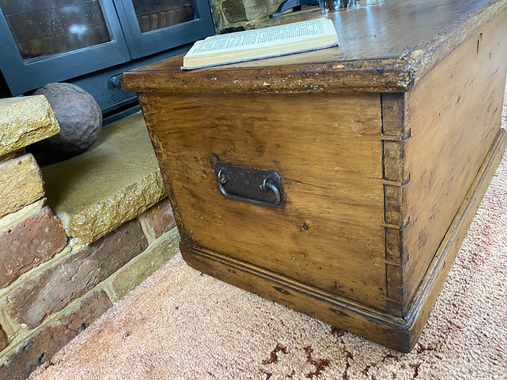 Pine Trunk (63x39cmx34cm LWH)