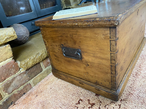 Pine Trunk (63x39cmx34cm LWH)
